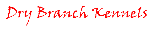 Dry Branch Kennels